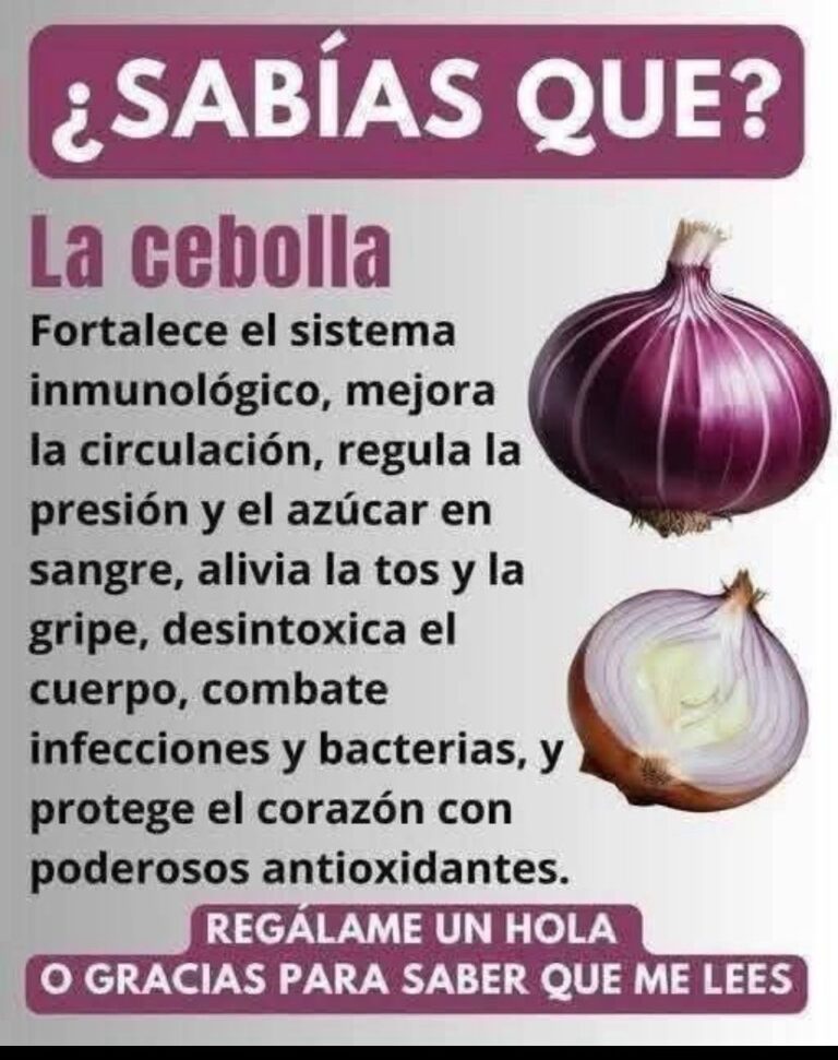 Cebollas Moradas en Escabeche